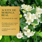 Shampoo-Y-Acondicionador-Herbal-Essences-bio-renew-Aceite-De-Moringa-Brillo-Y-Suavidad-Kit-400-ml-400-ml-5-44309
