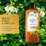 Shampoo-Y-Acondicionador-Herbal-Essences-bio-renew-Aceite-De-Moringa-Brillo-Y-Suavidad-Kit-400-ml-400-ml-6-44309