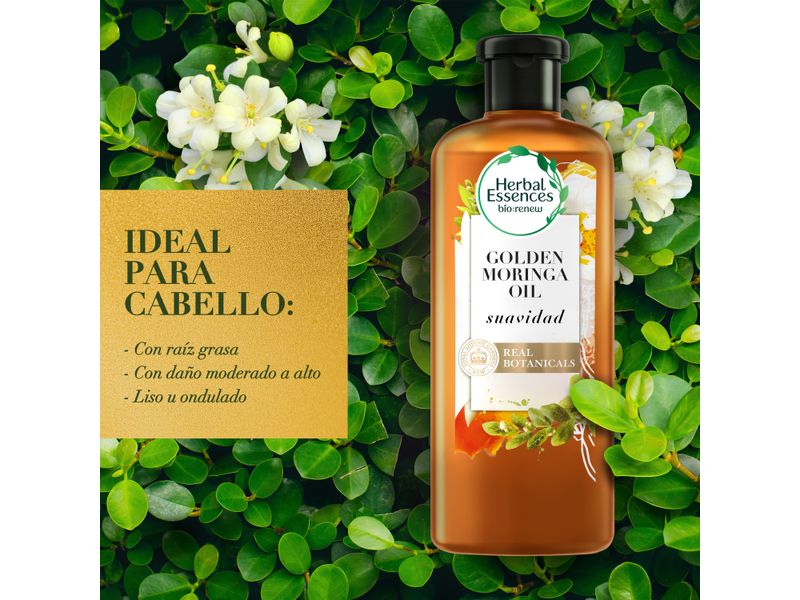 Shampoo-Y-Acondicionador-Herbal-Essences-bio-renew-Aceite-De-Moringa-Brillo-Y-Suavidad-Kit-400-ml-400-ml-6-44309