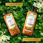 Shampoo-Y-Acondicionador-Herbal-Essences-bio-renew-Aceite-De-Moringa-Brillo-Y-Suavidad-Kit-400-ml-400-ml-8-44309