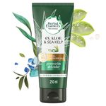 Acondicionador-Herbal-Essences-Bio-Renew-6X-Aloe-Sea-Kelp-Protecci-n-del-Color-250-ml-1-47532