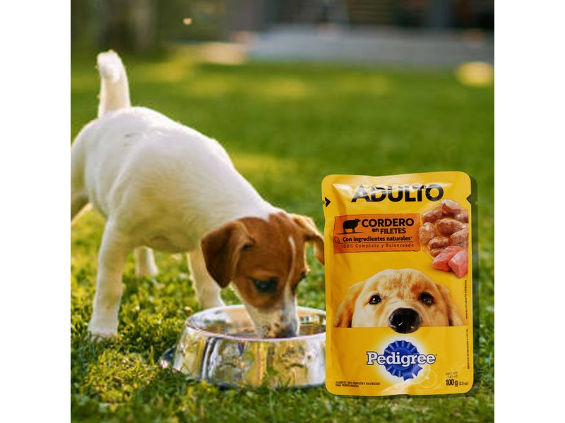 Alimento-Pedigree-Pouch-Cordero-100gr-5-55656