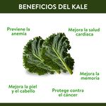 Ensalada-Express-Kale-Clamshell-5-Onzas-5-31973