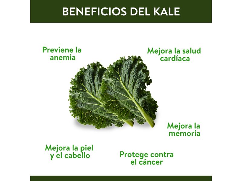 Ensalada-Express-Kale-Clamshell-5-Onzas-5-31973