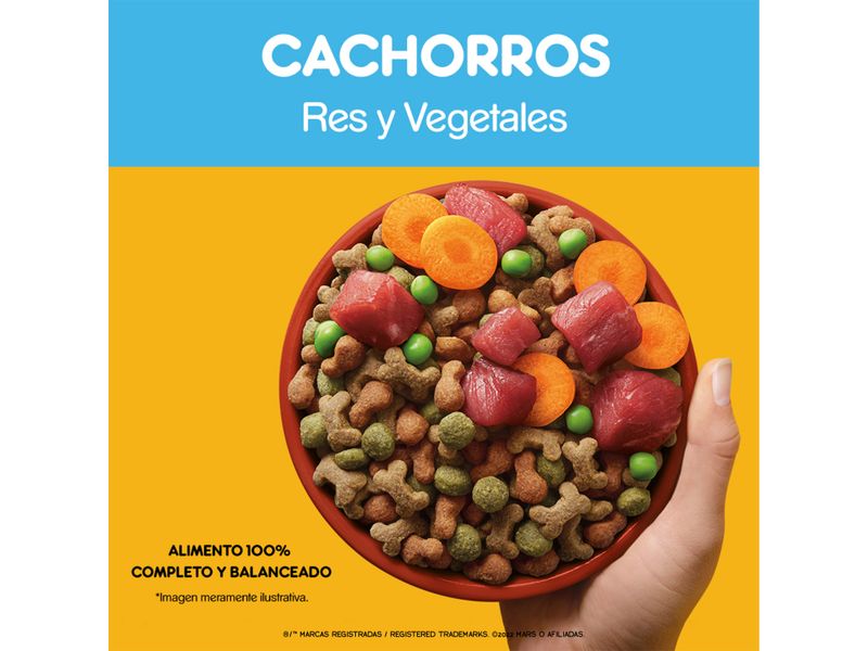 Alimento-Seco-Para-Cachorros-Pedigree-Res-y-Vegetales-2Kg-10-4491