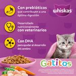 Alimento-Seco-para-Gatito-Whiskas-Pollo-1-4kg-6-37980