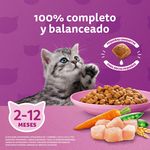 Alimento-Seco-para-Gatito-Whiskas-Pollo-1-4kg-7-37980