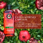 Shampoo-Herbal-Essences-Pelo-Largo-Granada-Prote-na-Vegana-400-ml-5-55613