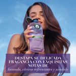 Shampoo-Herbal-Essences-Antifrizz-Lavanda-Aceite-De-Almendras-600ml-8-66134