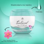 Crema-Teatrical-Facial-Humectante-100gr-3-12733