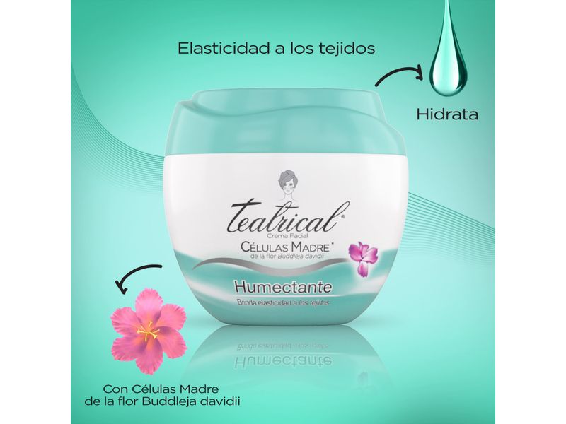 Crema-Teatrical-Facial-Humectante-100gr-3-12733