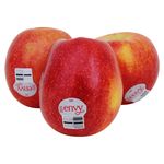 Manzana-Envy-Importada-Libra-2-76073