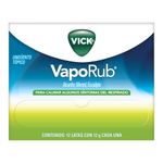 Vick-Vaporub-Lata-12gr-Ea-2-74928