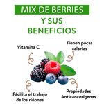 Mix-De-Berries-12Onz-4-32003