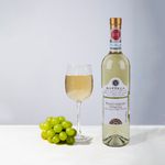 Vino-Blanco-Pinot-Grgio-Venezia-750-Ml-4-74667