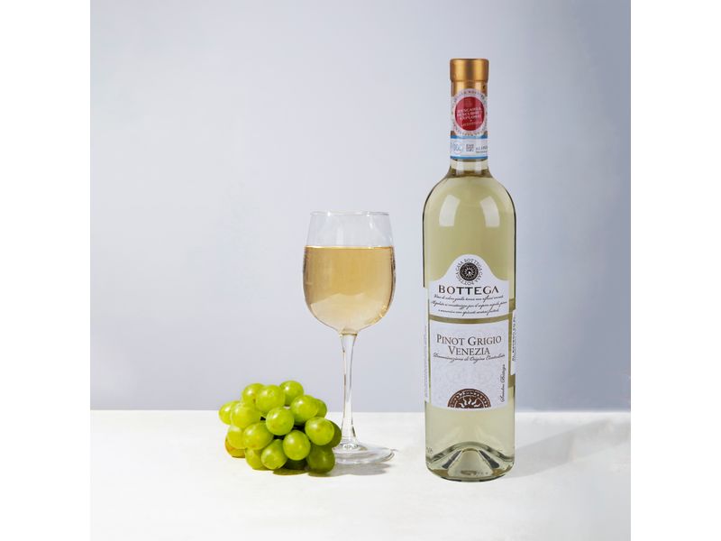 Vino-Blanco-Pinot-Grgio-Venezia-750-Ml-4-74667