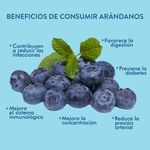 Arandano-Importado-170-Gramos-6-59649