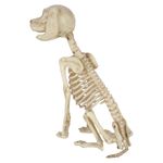 Perro-Sentado-Esqueleto-Hw-2-61248