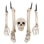 Esqueleto-Decorativo-1-61245