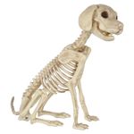 Perro-Sentado-Esqueleto-Hw-1-61248
