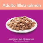 Whiskas-Pouch-Filetes-Salmon-85Gr-6-75506