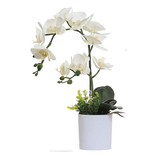 Ms Orquidea Con Maceta Blanca