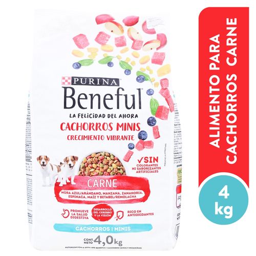 Alimento Perro Cachorro Purina Beneful Minis Crecimiento Vibrante Carne, Minis 4kg