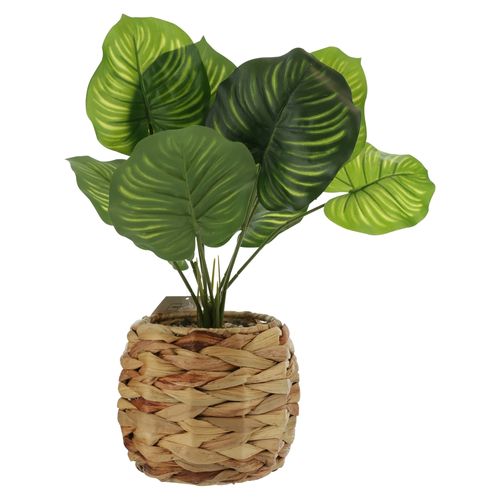 Ms Planta Artificial Maceta Mimbre 34Cm 167