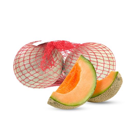 Melon Cantaloupe Two Pack