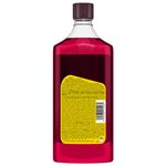 FURNITURE-RED-OIL-Pledge-500ML-12-MX-2-8958.jpg