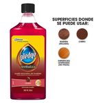 FURNITURE-RED-OIL-Pledge-500ML-12-MX-4-8958.jpg