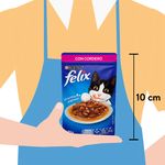 Alimento-H-medo-Felix-Cordero-85g-4-60862