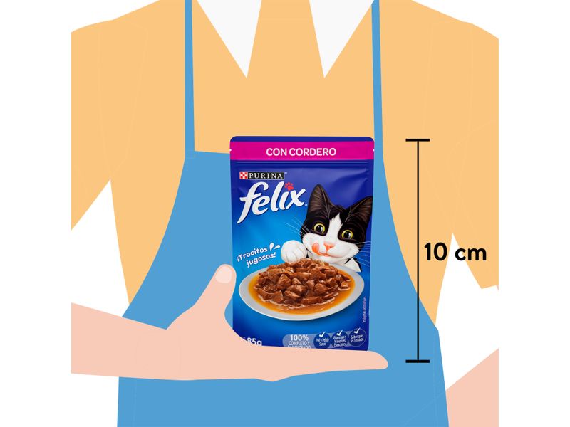 Alimento-H-medo-Felix-Cordero-85g-4-60862