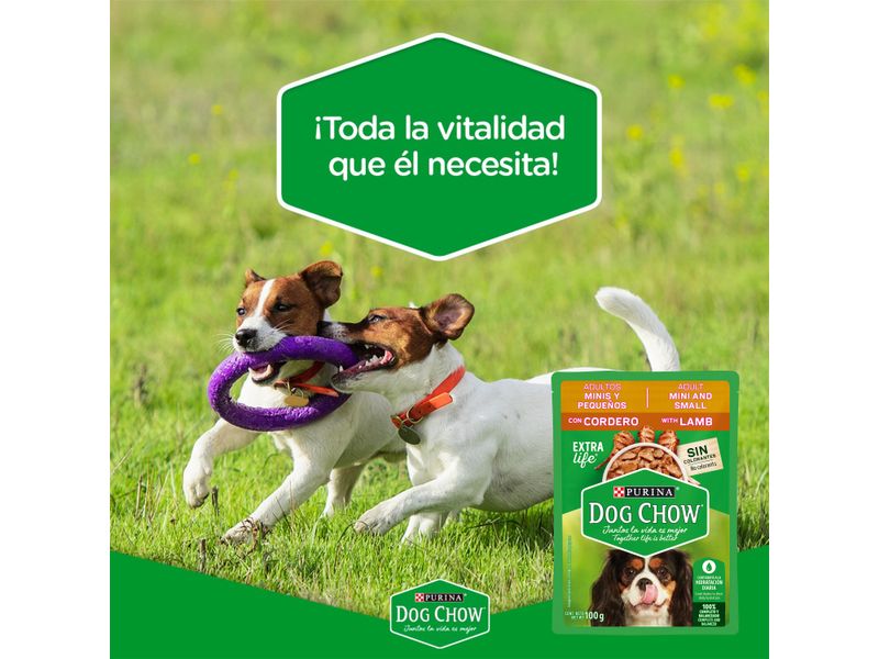 Alimento-H-medo-Perro-Purina-Dog-Chow-Adultos-Minis-y-Peque-os-Cordero-100g-9-55638