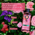 Shampoo-Herbal-Essences-Suavidad-Rosa-Mosqueta-400ml-7-55041