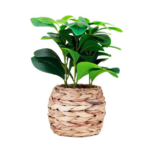 Ms Planta Artificial Maceta Mimbre 34Cm 168