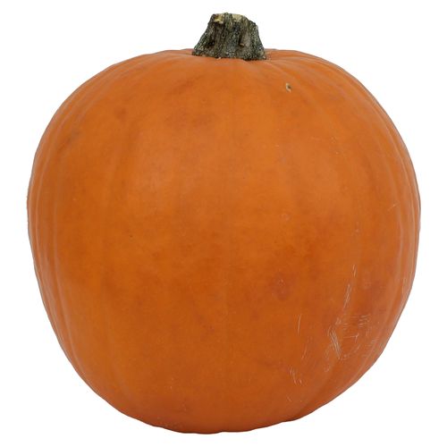 Calabaza Hortifruti Importada Libra