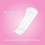 39663_04.jpg