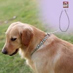 Collar-Ol-Roy-Met-lico-Para-Perro-Talla-M-4-52561