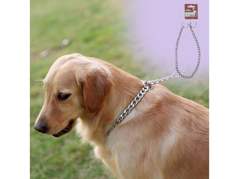 Collar-Ol-Roy-Met-lico-Para-Perro-Talla-M-4-52561