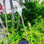 70236_03.jpg