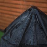 79597_05.jpg