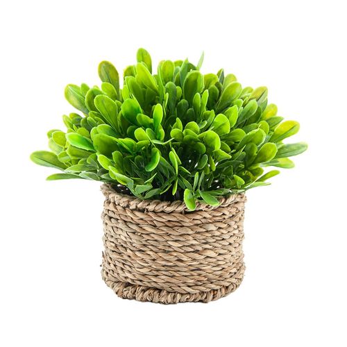 Planta Mainstays artificial -15 cm
