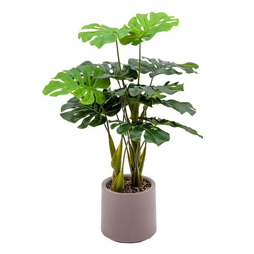 Planta Mainstays artificial -68 cm