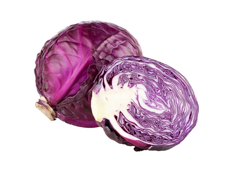 98_01.jpg