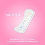 64199_05.jpg