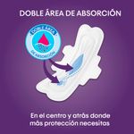33440_03.jpg