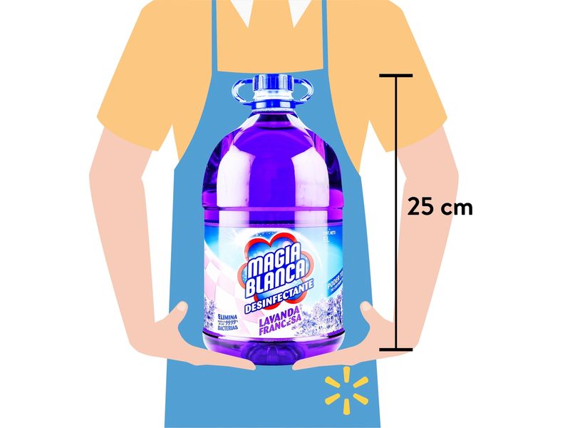 75986_04.jpg