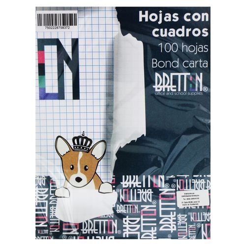 Hojas Bretton de papel bond cuadriculado tamaño carta - 100 Uds
