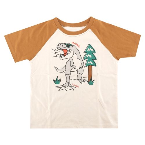 Camisa Para Nino 18 5T